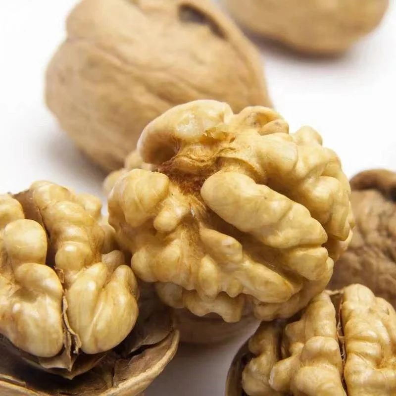 China High Quality Bulk Fresh Walnuts With Shell Nutrition Dried Fruit Natural Half Walnut