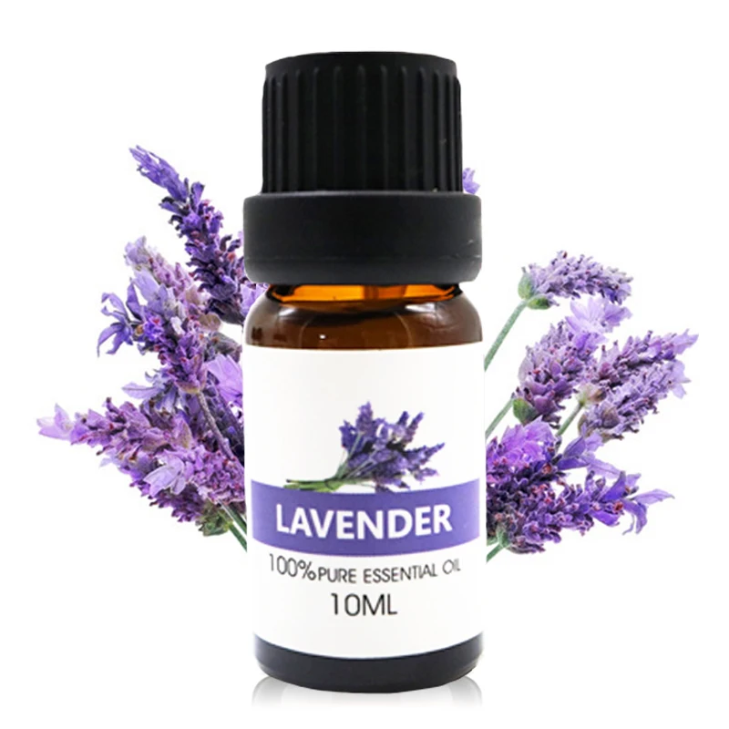 Best Seller Wholesale Lavender Essential Oil Lavender Essential Oils Now Brand