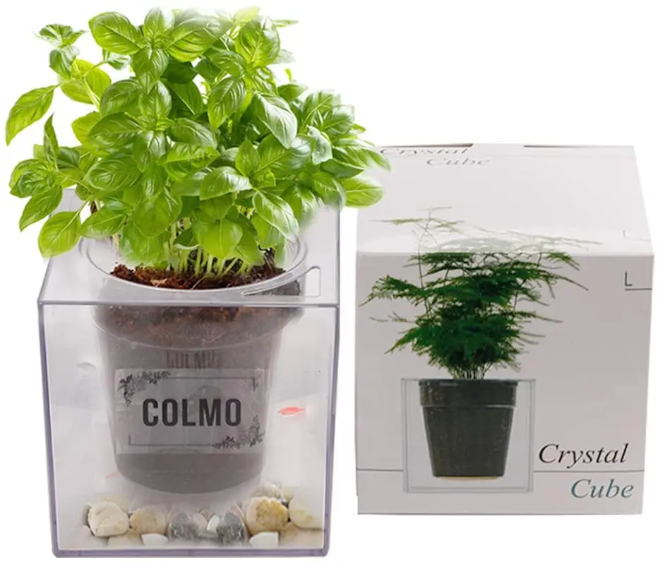 Aquaponic аквариум для посадки кастрюля рыбы набор почвы подходит мелкой