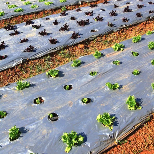 Silver And Black Agriculture PE Plastic Mulch Film