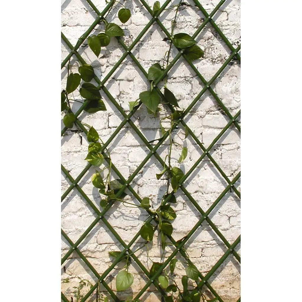 Hot Sale PE Coated Bamboo Expanding Trellis for Outdoor Plant Gardening