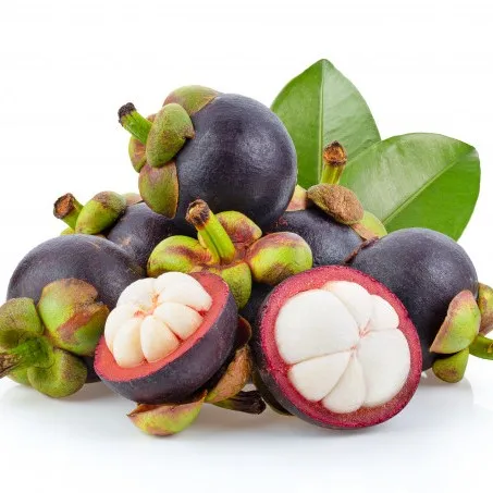 
Mangosteen Fruit Modern Standards - Fresh Fruit New Cultivation Of Crops 