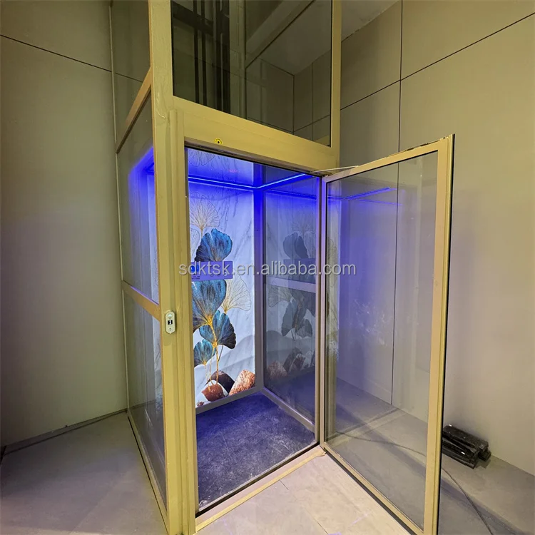 High quality 3 floor panoramic residential home elevator with cabin for 2-4 person