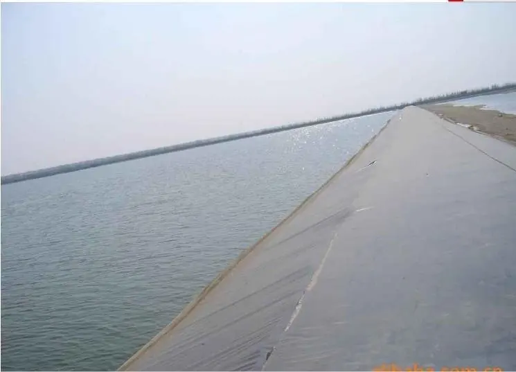 Geomembrane for Aquaculture, fish/shrimp pond liner, slope protection, sea cucumber circles
