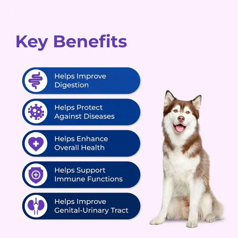 OEM Dog Probiotic Soft Chews Digestive Support Bacillus Coagulans Strain Prebiotics Supplement For s