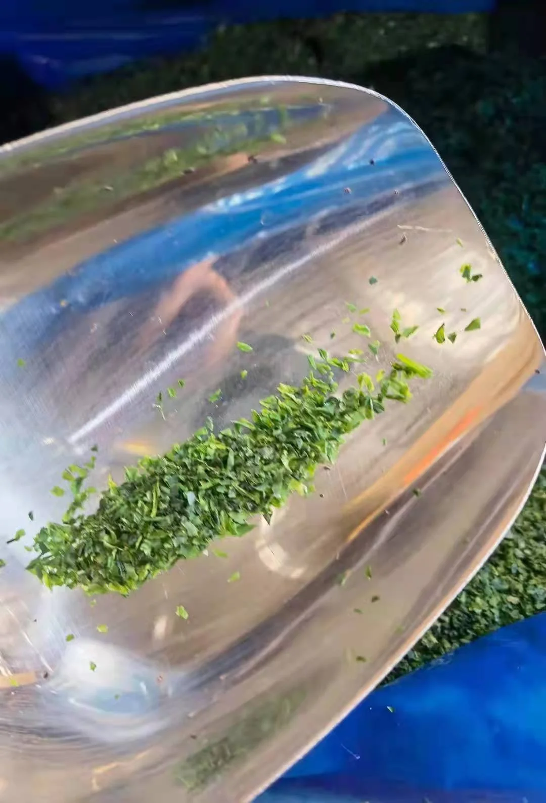 Food Ingredient Dried AOSA Seaweed Ulva flakes Aonori Malaysia