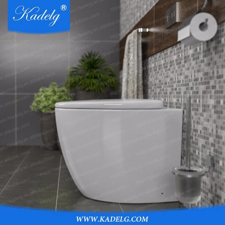 
Factory Price Sanitary Ware Modern Human Water Flush Toilet without Cistern 