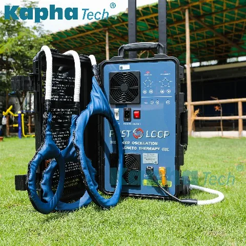 Non-invasive Equine Machine Big Treatment Area Pulse Electromagnetic Field Physiotherapy PMST LOOP