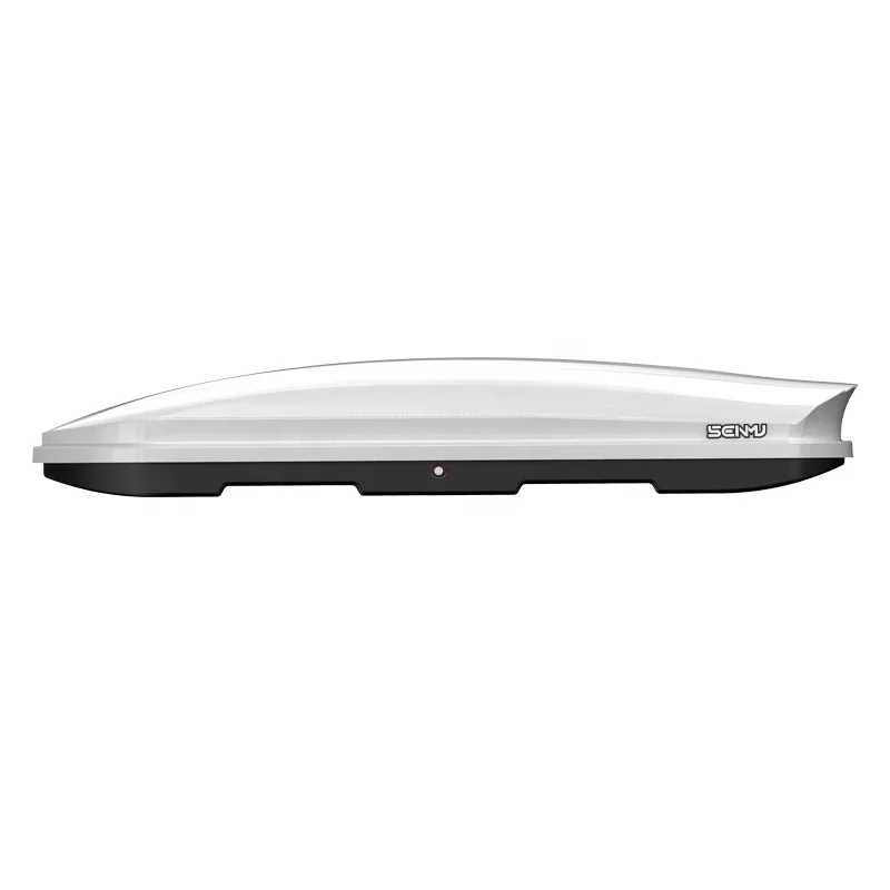Cargo Box/Carrier for Skis Snowboards and Winter Gear
