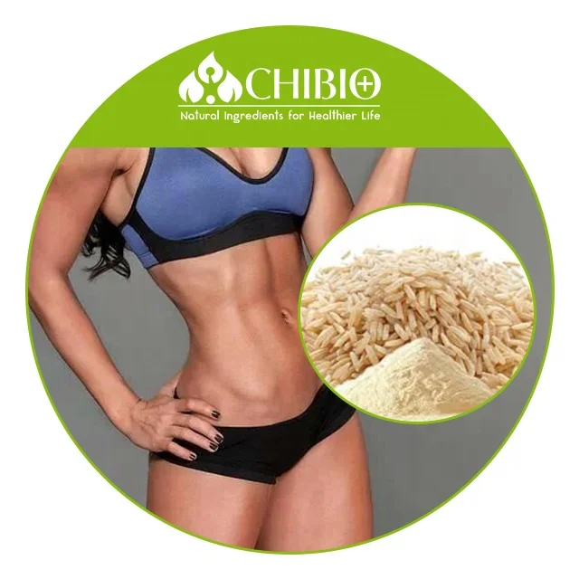 Pure 90% Brown Hydrolyzed Rice Bran Protein Powder Rice Protein rice for Muscle Building