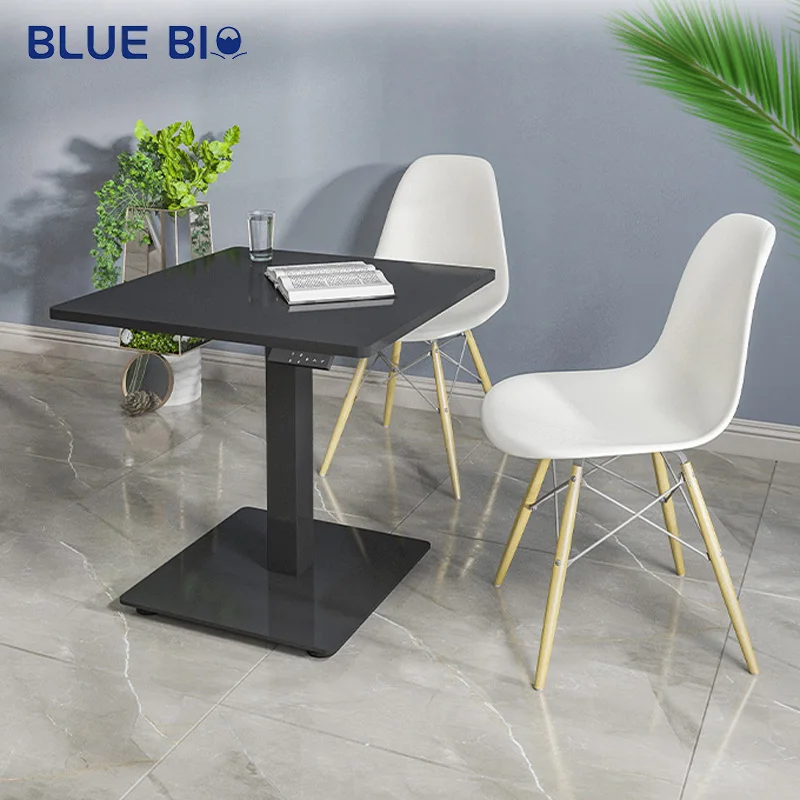 Single Leg Desk Electric Standing Desk Frame Single Motor Spring Single Leg Column Mobile Lifting Desk Table