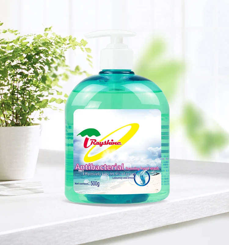 Rayshine Wholesale Custom Private Brand  eco-friendly Ocean fragrance Liaquid Soap for hand washing with Pump Head 500G