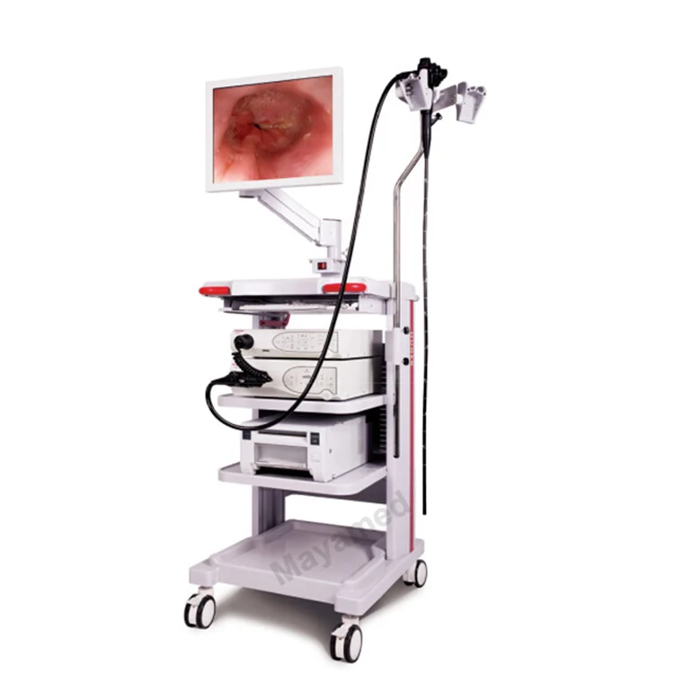  Choledochoscope gynaecology Шрек ent endoscopio чистящие щетки для сотовых телефонов эндоскоп гибочная муфта Урология