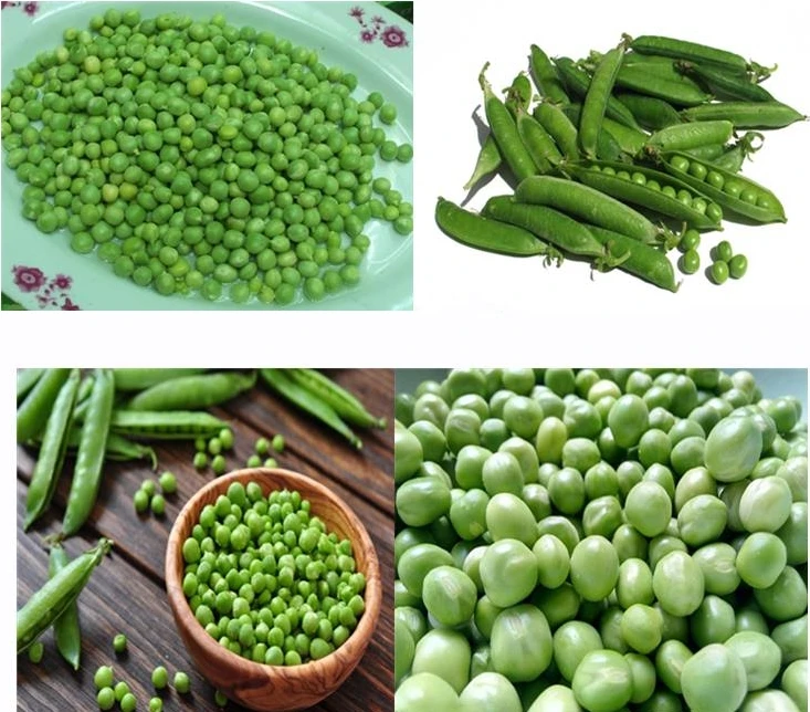 
Hot Selling soybean huller Machine With Low Price 