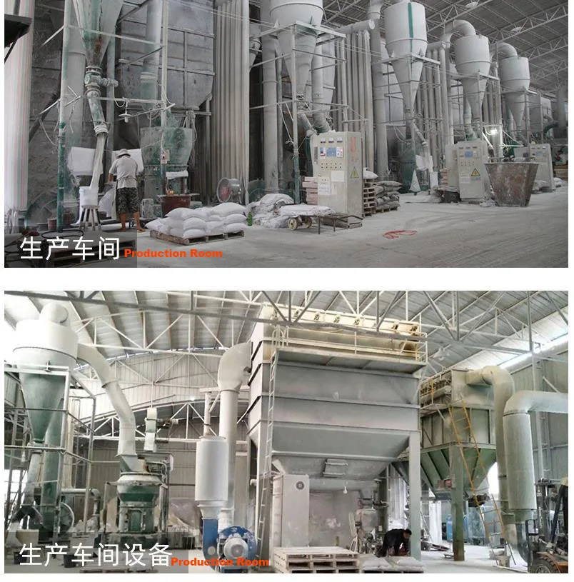 2000 Mesh Chemical White Powder  Heavy Calcium Carbonate as Filler in Matte Powder Coating