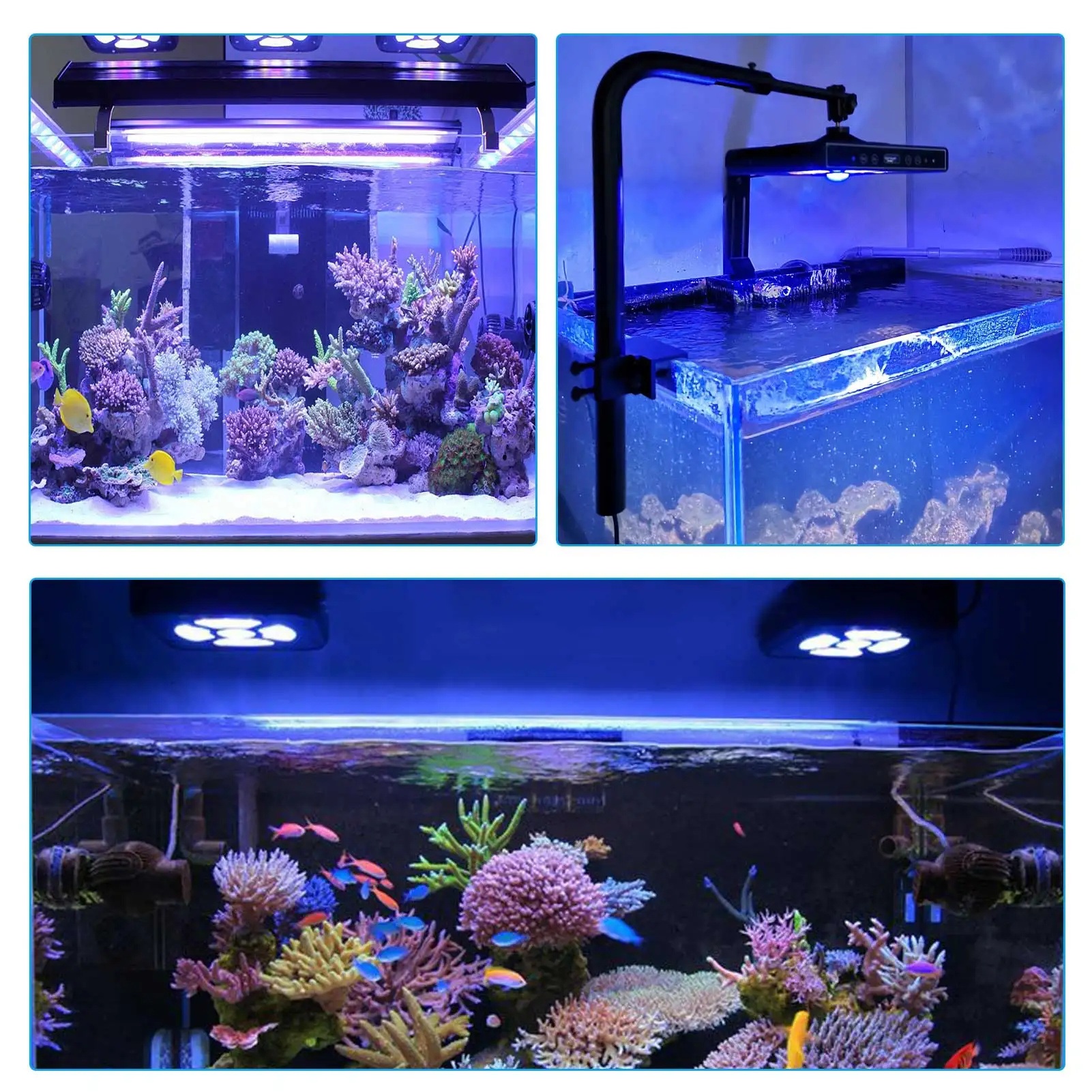 100W High Efficacy Blue Ocean Heat Dissipation Fast High Penetration Full Spectrum CTLite LED Aquarium Light for Marine Tank