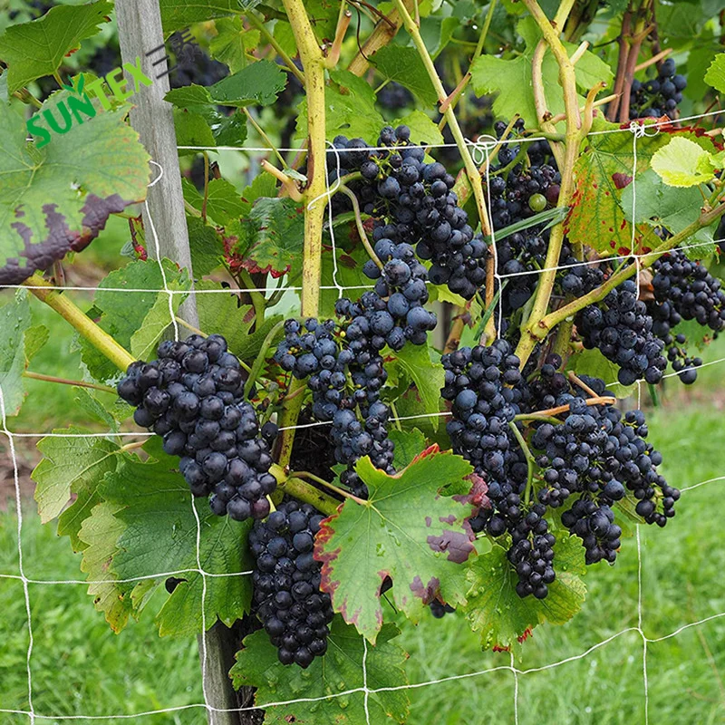 Soft Mesh Nylon Trellis Netting Bulk Roll  5 x 350 ft Heavy-Duty Garden Netting for Climbing Plants