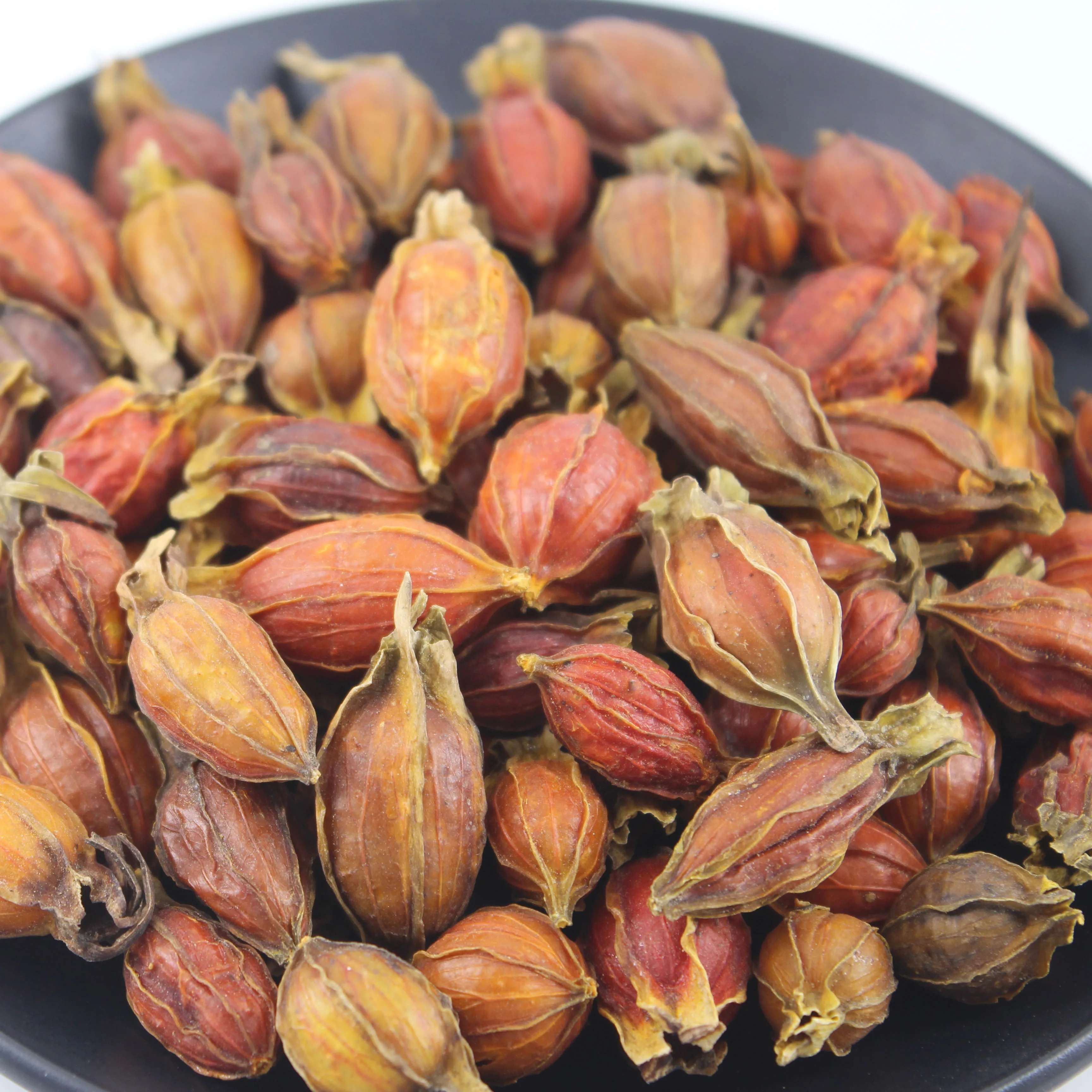 High Quality Dried Fructus Gardenia Edible Dried Herbs Spices  Fructus Gardeniae For Sale