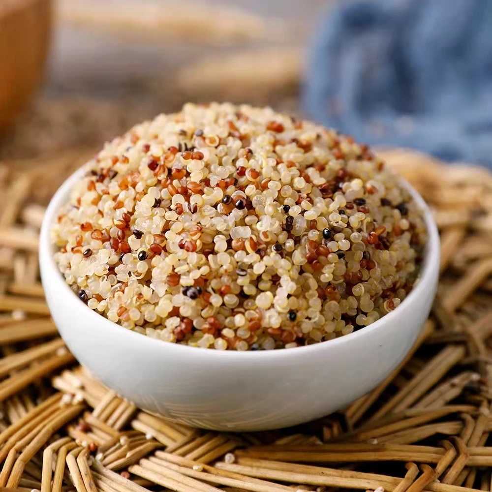 Hot Sale Healthy Three Color Quinoa Precooked Seed Buyers Price
