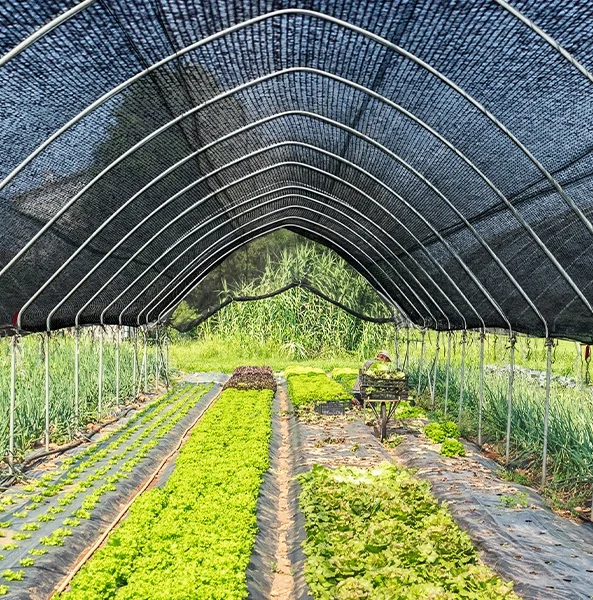 70% Shade Cloth Sun Shades Net Shade Mesh For Garden Plants Greenhouse, Gardens, Patio