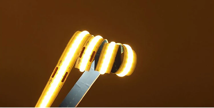 Factory Direct 220V IP65 High Brightness Remote Wireless BT control 2835 COB strip light Kit