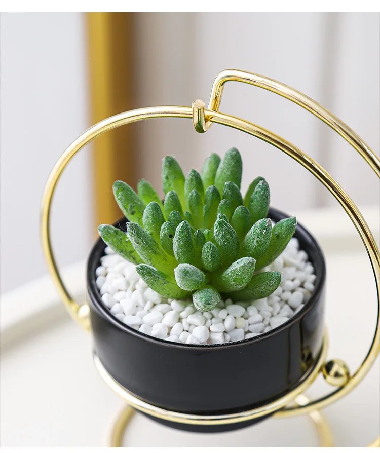 Nordic ins home succulents iron frame ceramic flower pot set