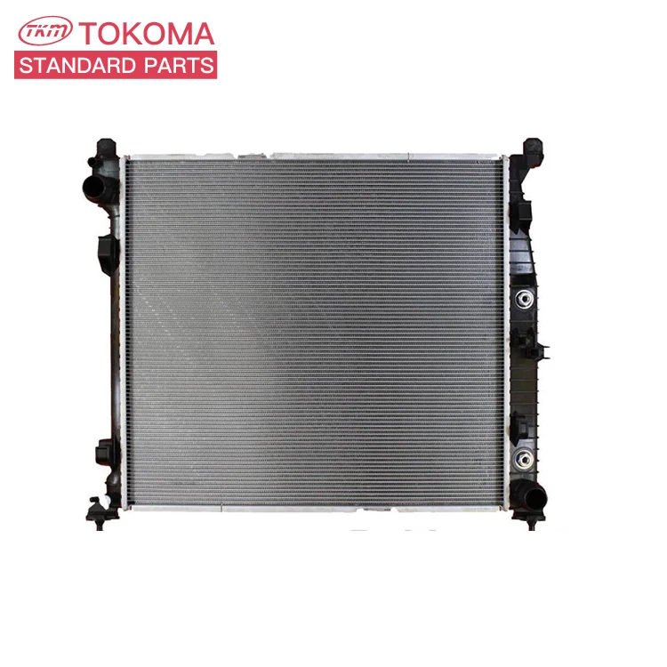Auto Parts Cooling System Electric Radiator Cast Iron Radiator for BENZ C-CLASS W202 C220 CDI 2025005603 2025006403