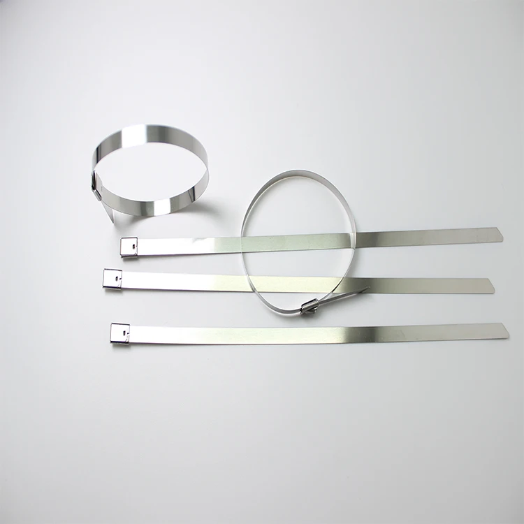 
Professional Manufacturer Stainless Steel Barb Cable Tie 