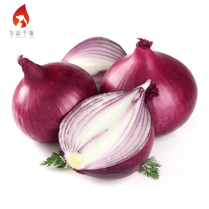 2022 New pure food onion cheap bulk price ton fresh red onions