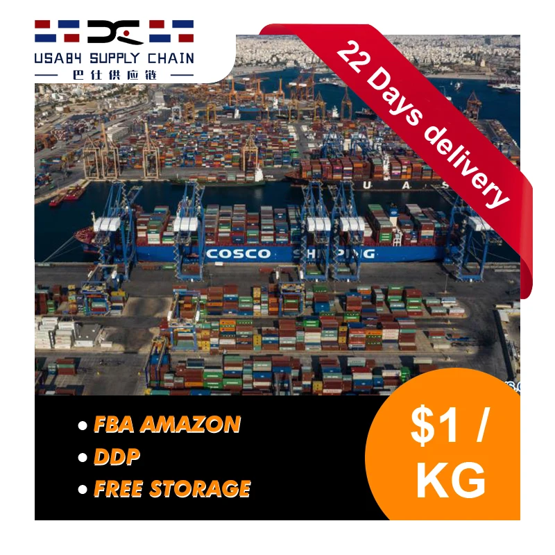 Global freight forwarder china shipping agent to US customs clearance broker