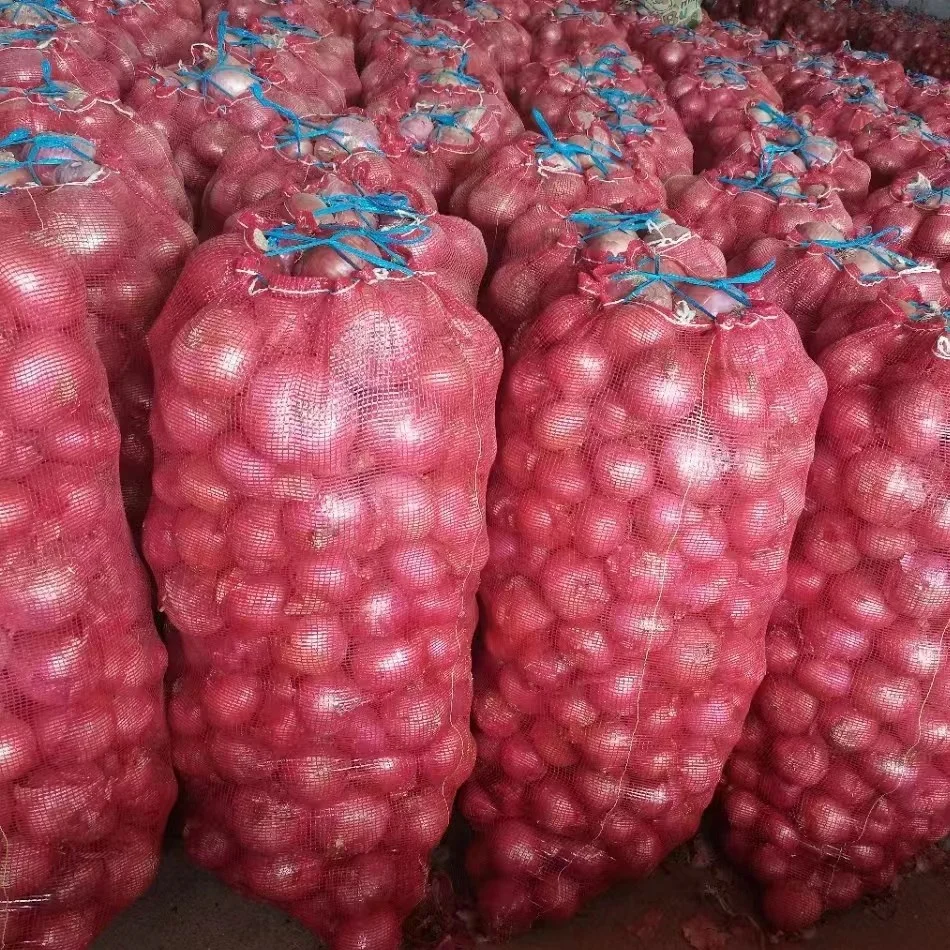 China best quality plastic mesh nets for potatoes onion orange pepper cucumber corn packing