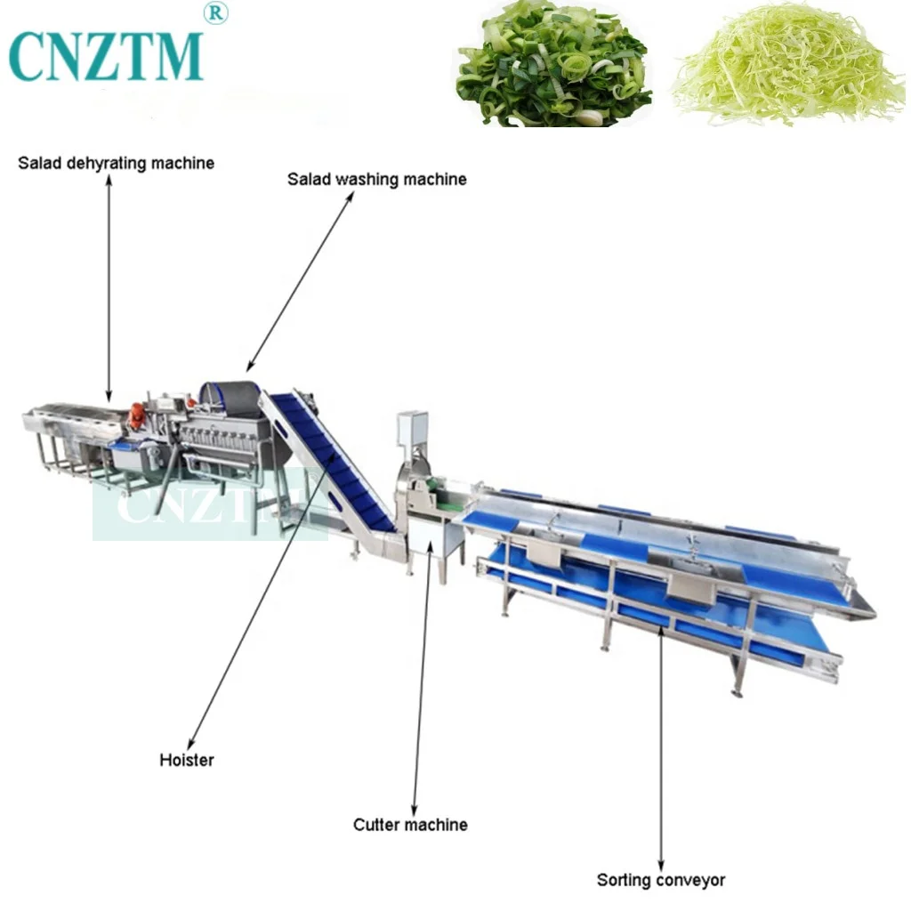 Industrial Automatic Vegetable Washing Cutting Drying Packing Processing line for Making frozen and fresh vegetables