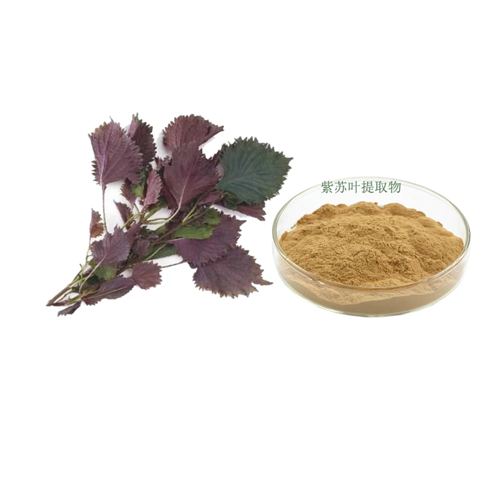 factory supply Perilla Leaf Extract Powder