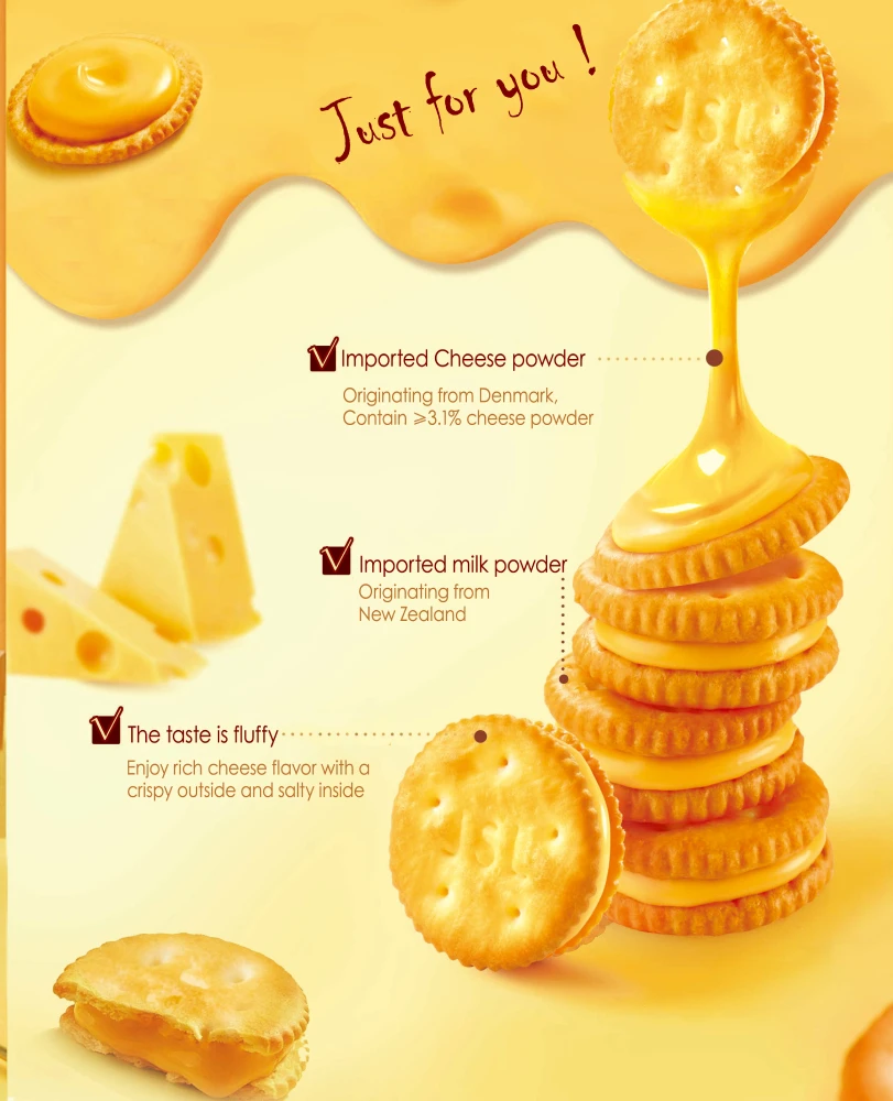Cheese Biscuits Salty Rich Cheese Flavor Wholesale Cheese Biscuits and cookies Box package Jiashili Brand Factory Direct 105g