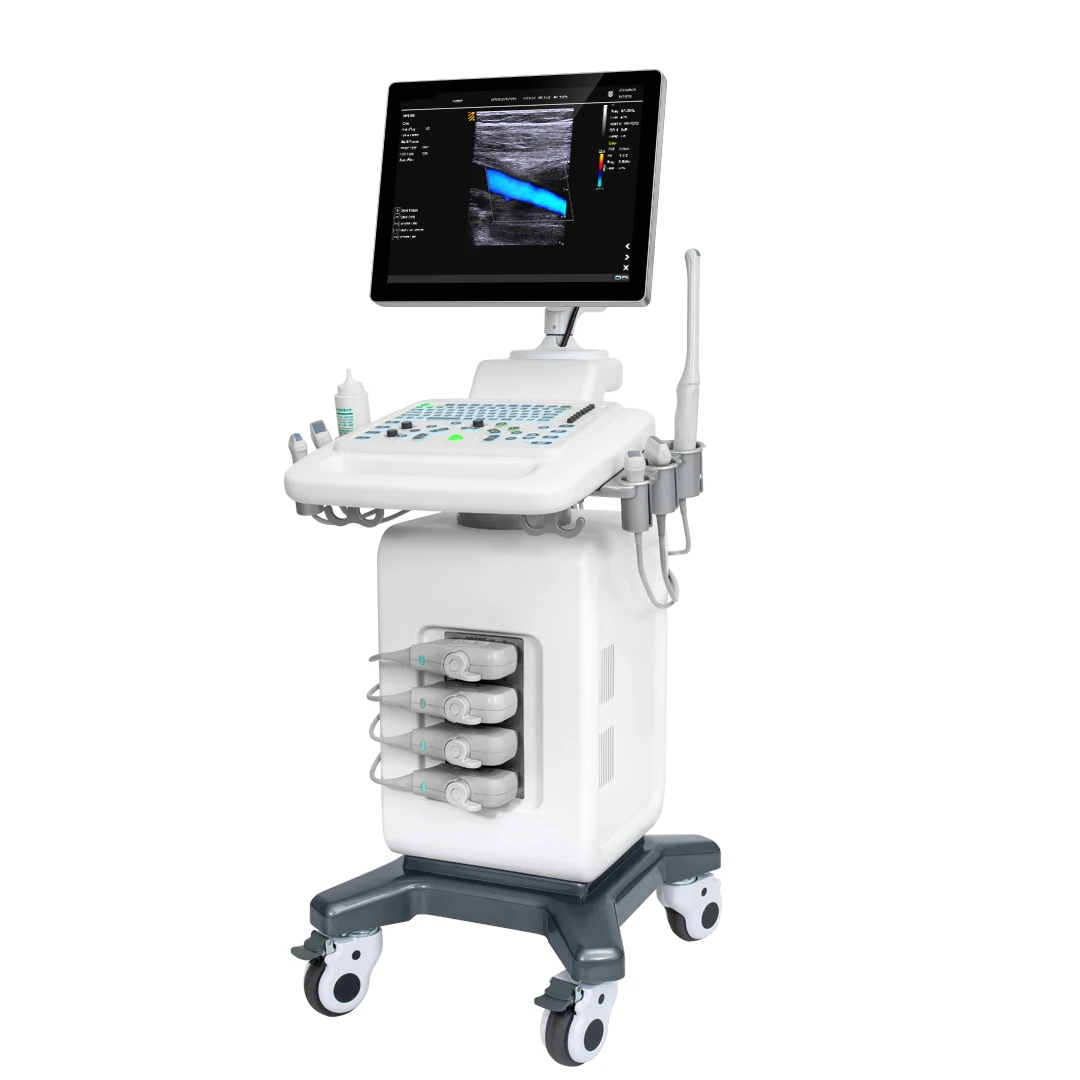 3D/4D sonography machine physical therapy Color Doppler ultrasound scanner machine portable