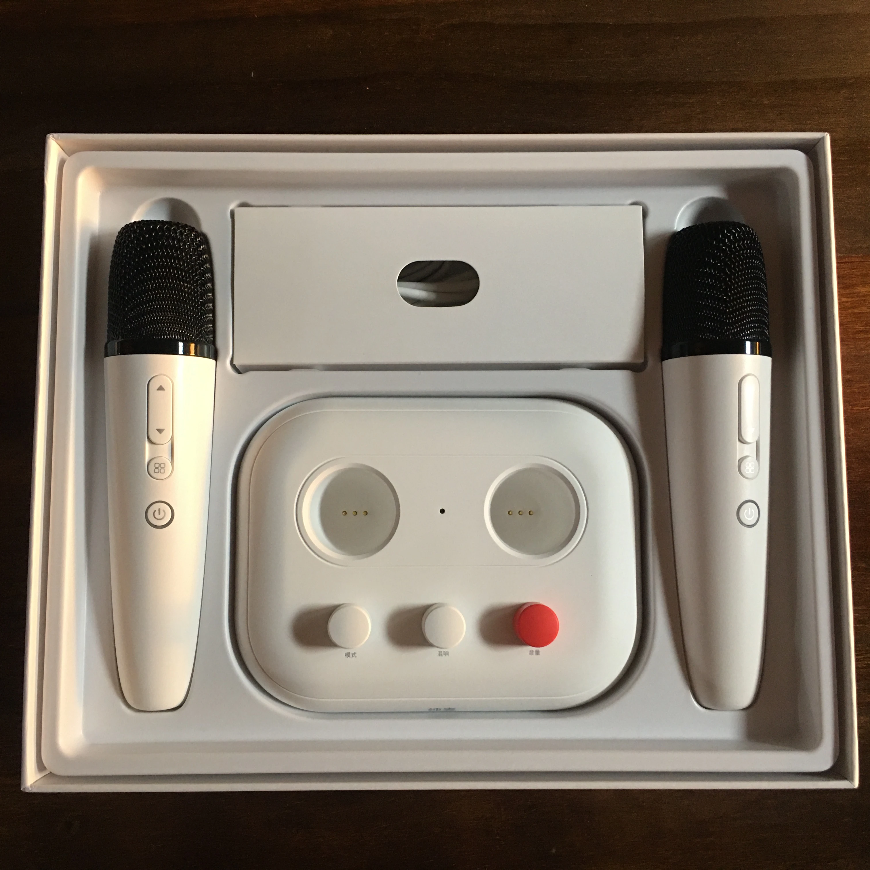 Home karaoke Microphone for Singing BT car karaoke microphone Puremic X2