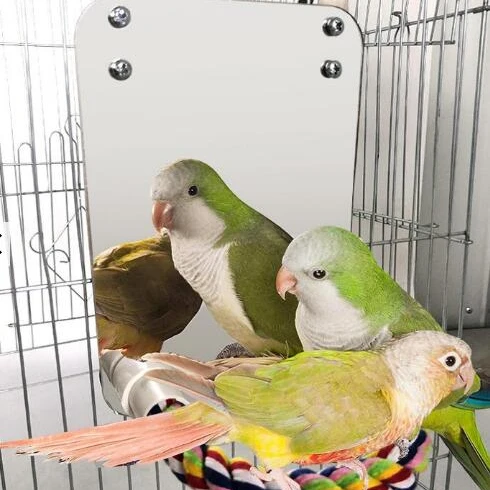 Best price toys Bird Mirror Parrot Hanging Interactive Playing Toy For Canaries Budgie parrot Cage Accessories hot