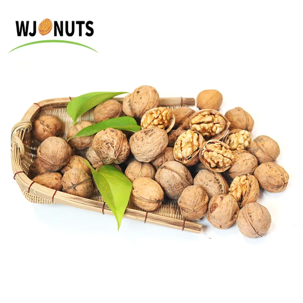 Xinjiang Nutrition Chinese Walnut Kernels Max Bag Without shell walnut kernels