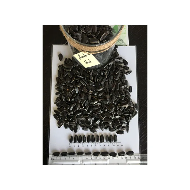 Good Quality New Crop Black Sunflower Seeds Big Size  Import Sunflower Seeds Human Consumption Raw Bulgarian Origin Packaging