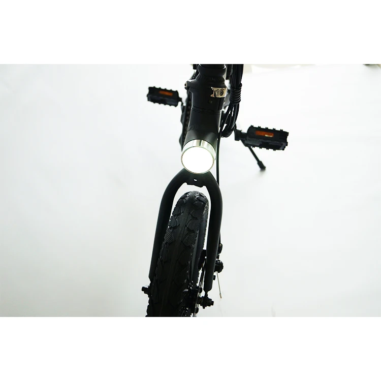 RAINTUNG Ebike Folding Bicycle 20 Inch Folding Electric Bike 250W Portable Electric Foldable