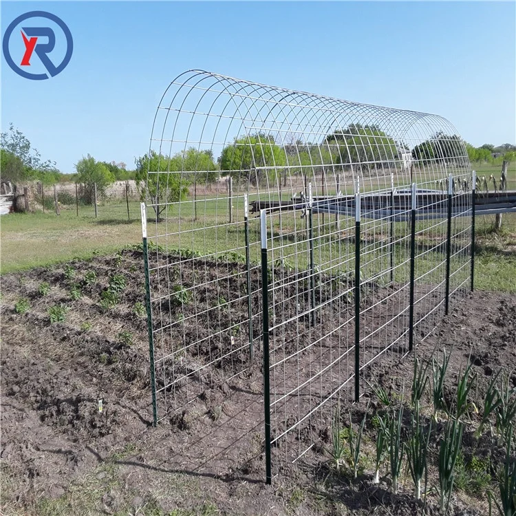 Factory price Heavy Duty metal farm 6 ft T post fence post/steel Studded T Post for sale