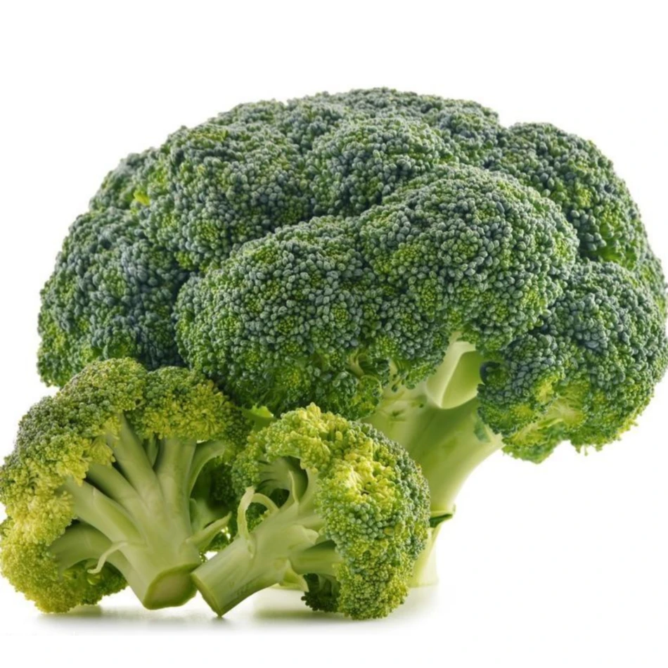 Wholesale Natural Fresh Origin Broccoli Vegetable Fresh Broccoli