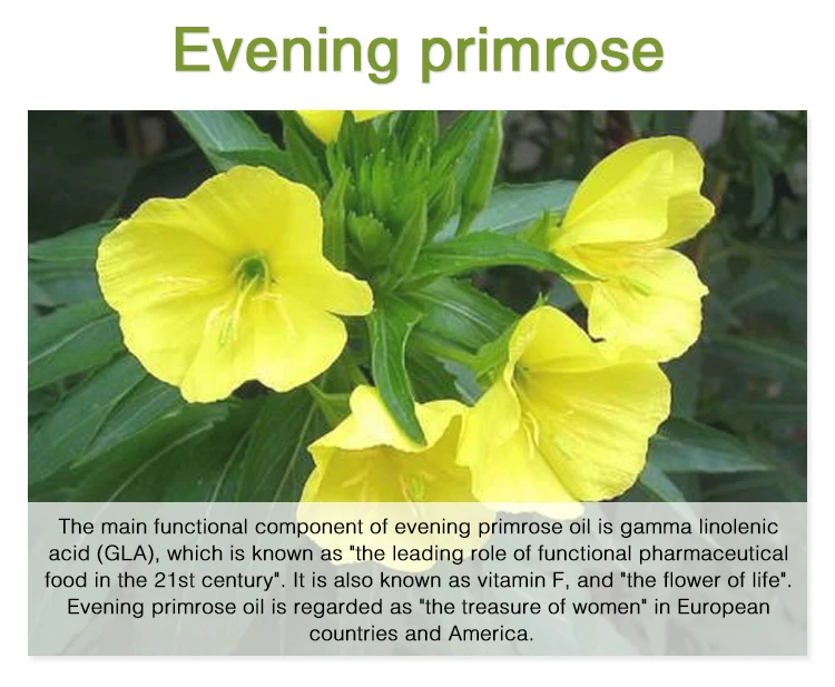 
Natural 1000mg evening primrose seed oil bluk 