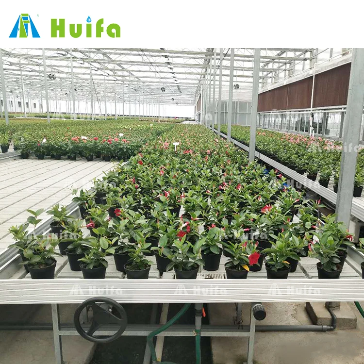 Customized greenhouse ebb and flow seed rolling bench hydroponic grow bed tray table systems rolling benches