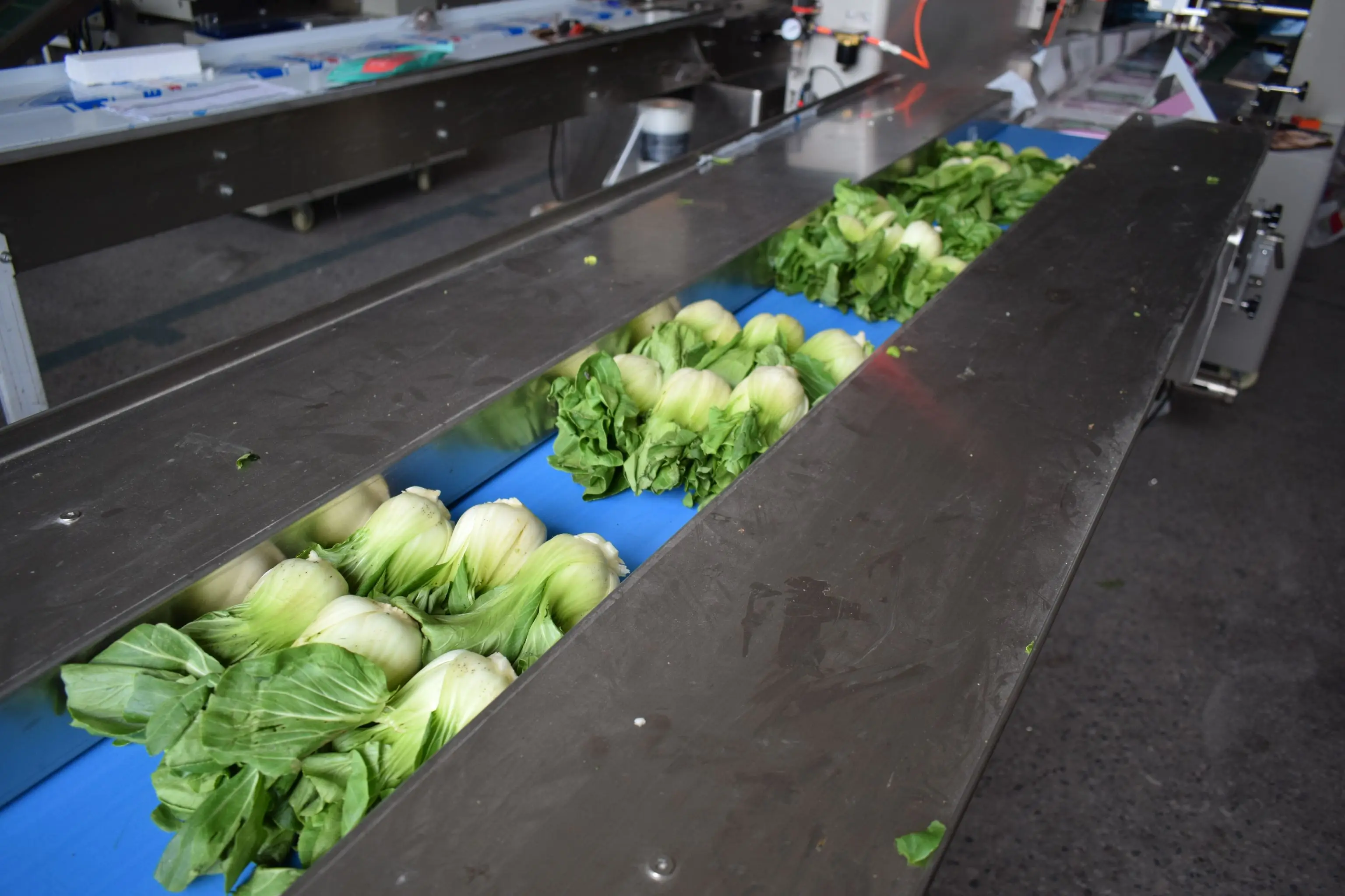 Horizontal Fruit and Vegetable Wrapping Machine Automatic Food Fresh Vegetables Packaging Machine