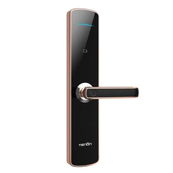 Tenon E3c Keyless Intelligent Biometric Fingerprint Door Lock Digital Lock