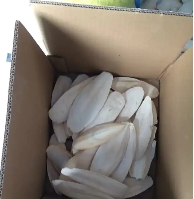 Size: 5-30 cm - Dried Cuttlefish Bone - Competitive price from Vietnam - Holiday +84-845-639-639