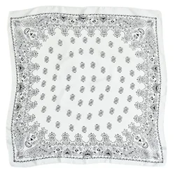 Cross-border new arrival printed square scarf ribbon70*70cmElegant small scarf satin vintage paisley silk scarf set System