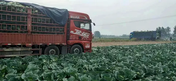 2145148