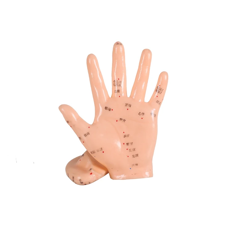 Chinese Acupuncture hand model 13cm Human body acupuncture point model
